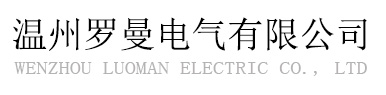 轉(zhuǎn)子片-轉(zhuǎn)子鐵芯沖片-溫州鼎龍電子科技有限公司